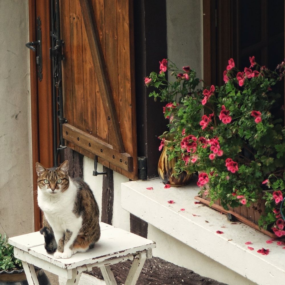 Photograph by Василий Селиванов