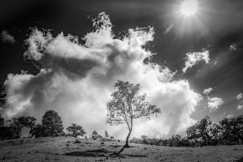 Photograph by Alfredo Jiménez Velázquez