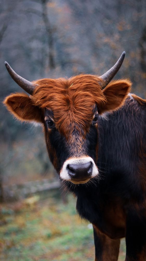 Photograph by Mostafa Mortazavi