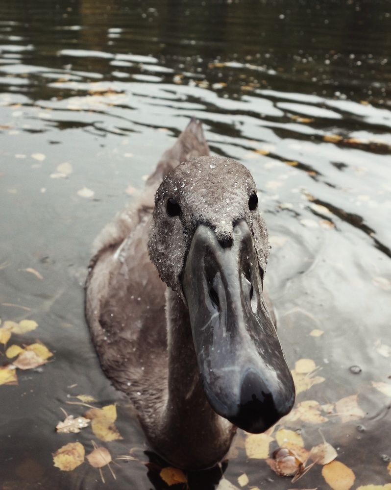 Photograph by Василий Селиванов