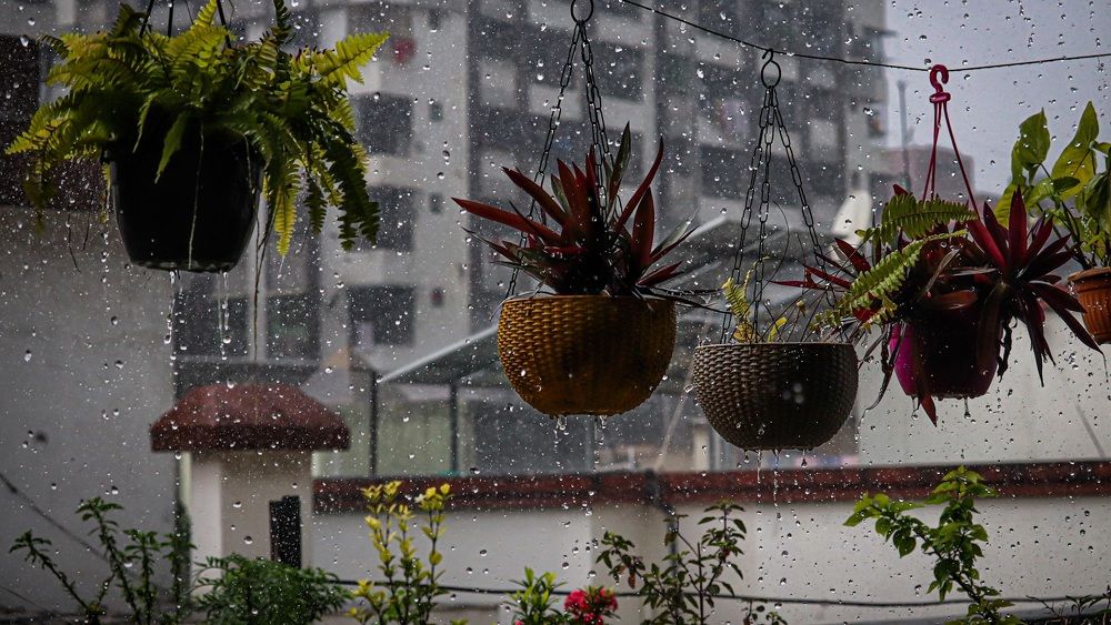 Photograph by Aman yadav