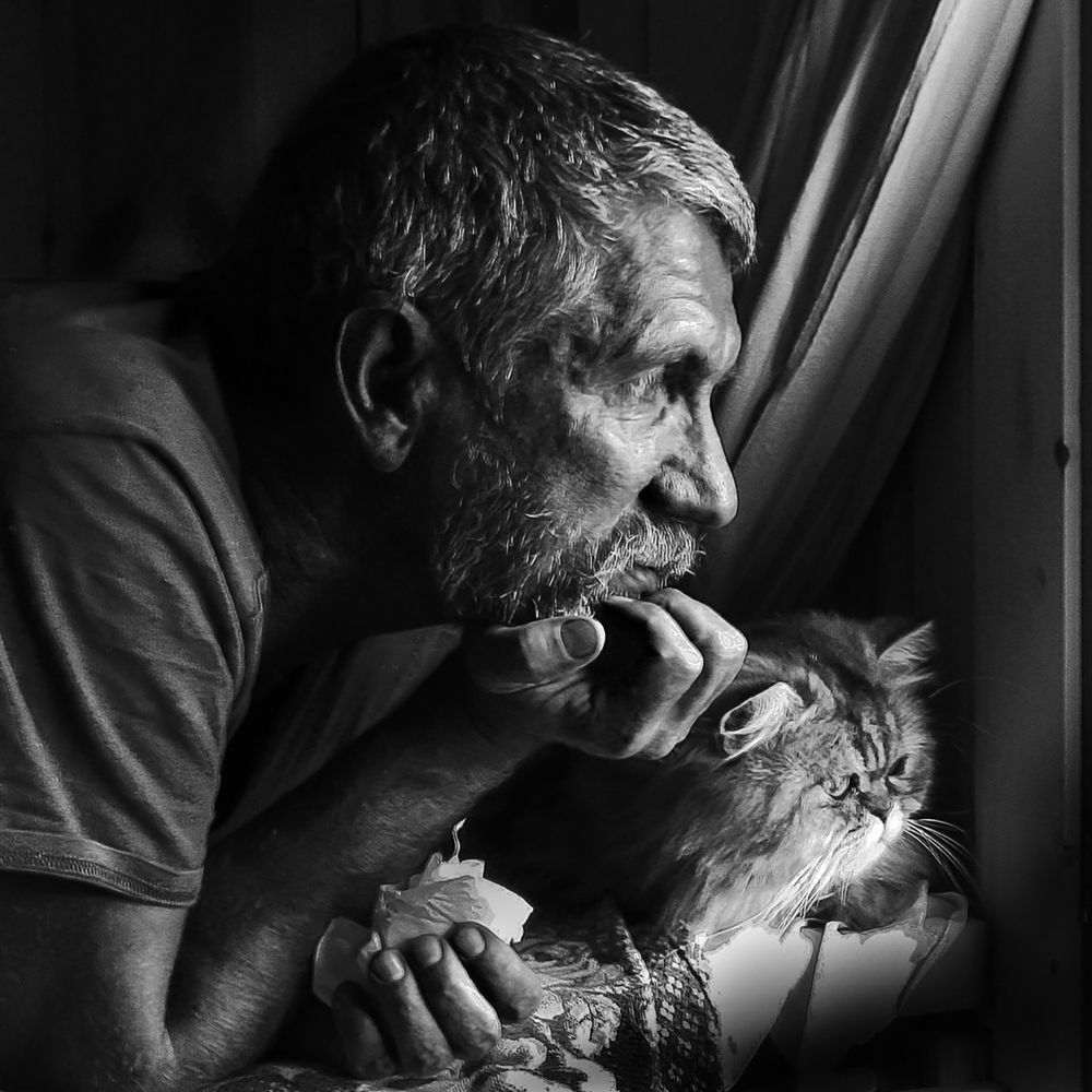 Photograph by Алексей Окунеев