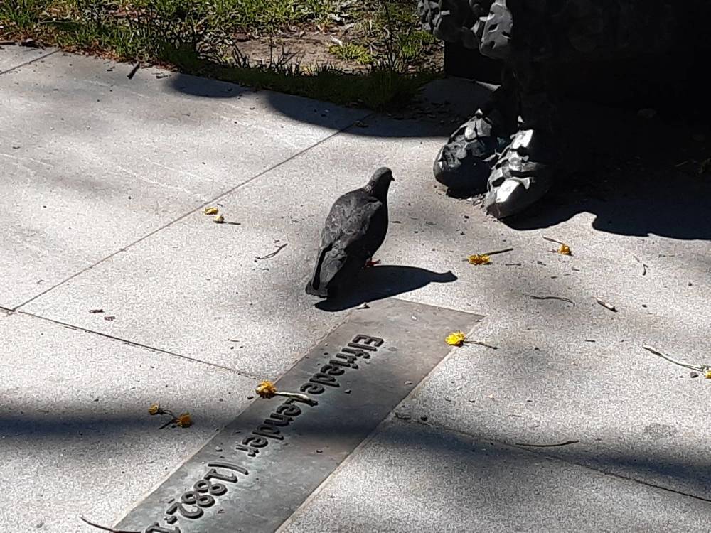 Different parts of the city