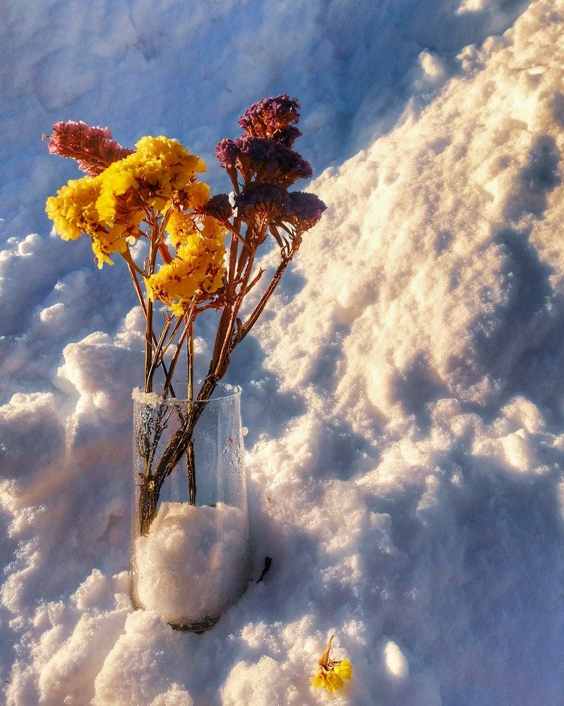 Photograph by Алина Олесик