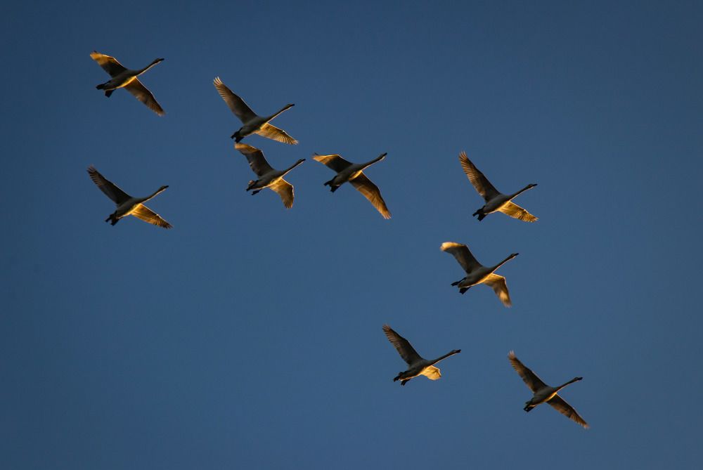 Photograph by Mostafa Mortazavi