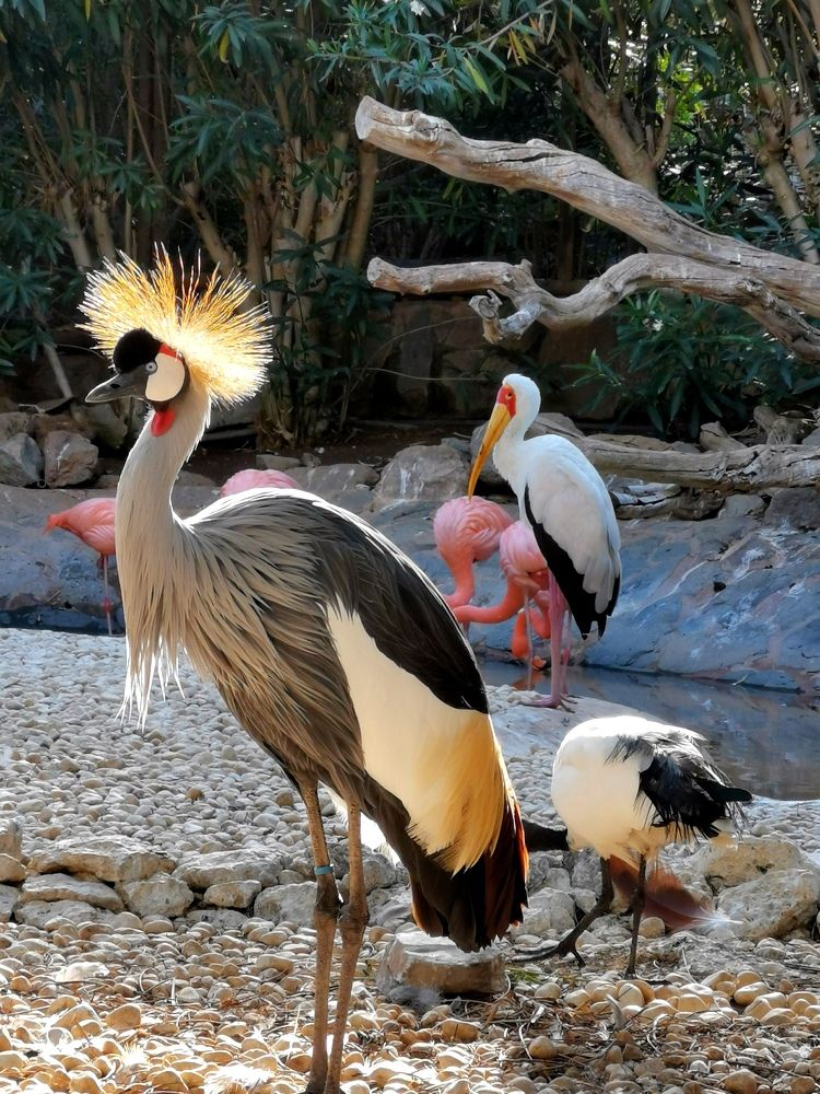 Photograph by Ингрида Кузнецова