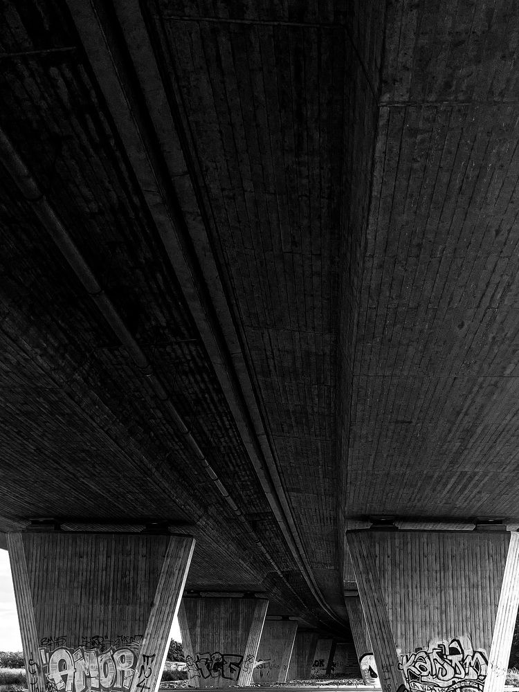 Photograph by Алина Шевченко