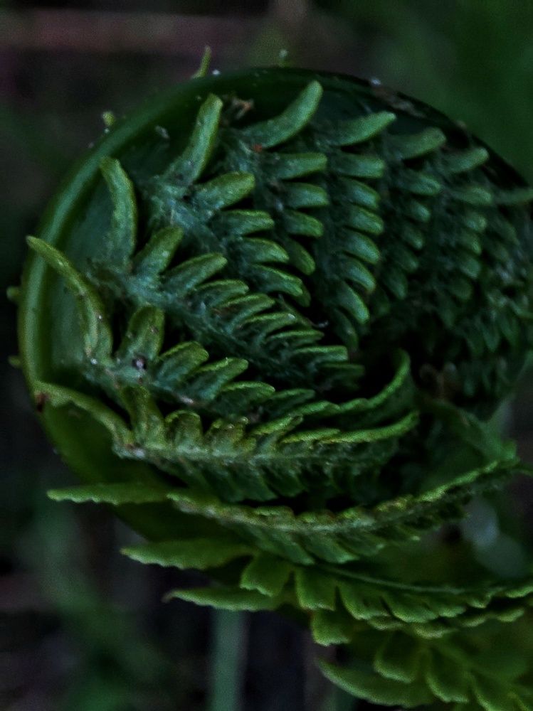 Photograph by Оксана Шевченко