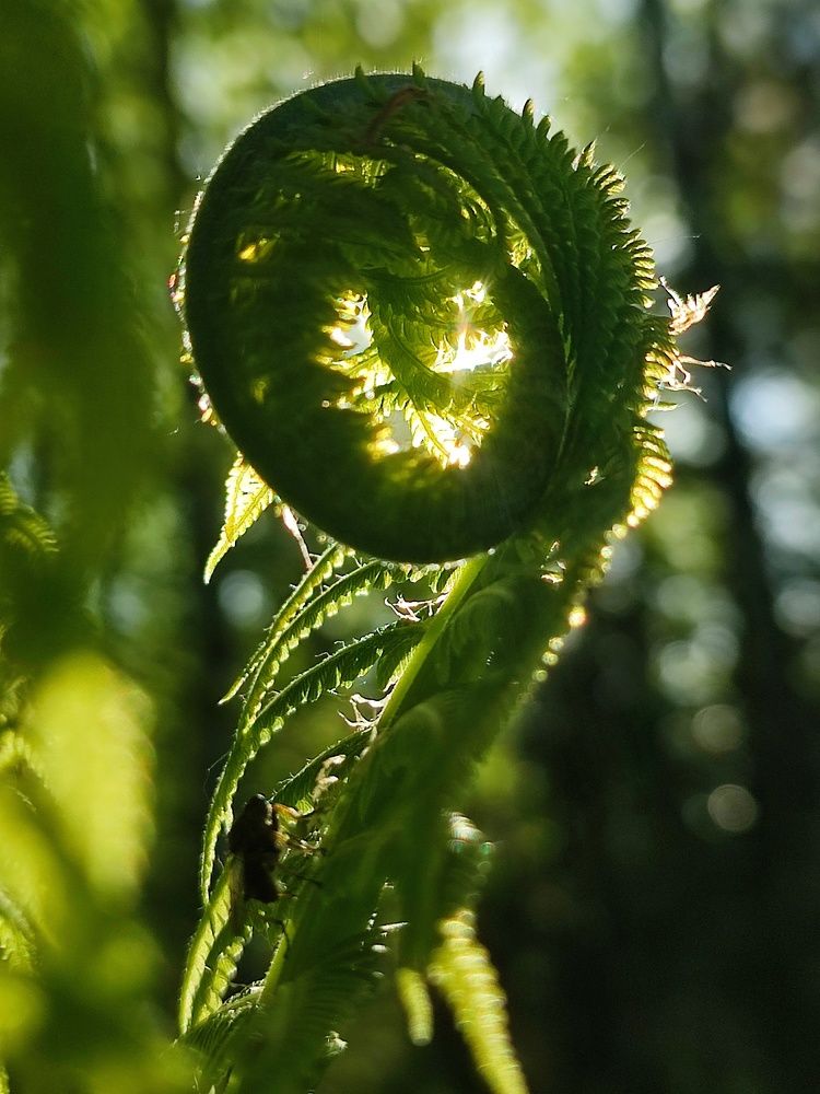 Photograph by Оксана Шевченко
