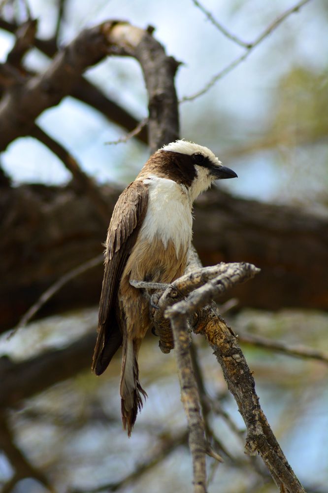 Photograph by Анатолий Орлов