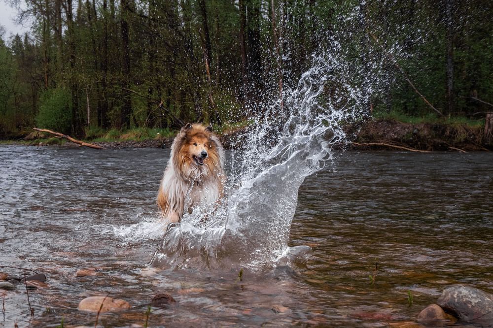 Photograph by СВЕТЛАНА ГРАЧЕВА