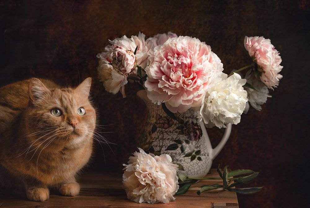 Photograph by Анжелика Костин