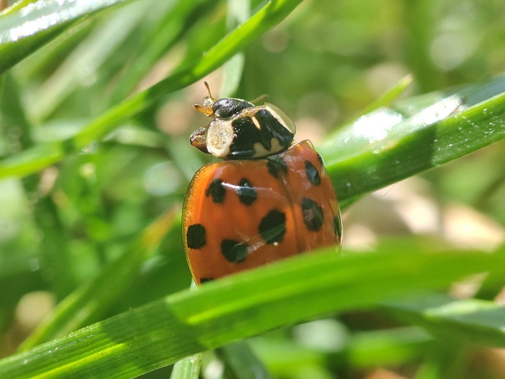 Photograph by François Murillo