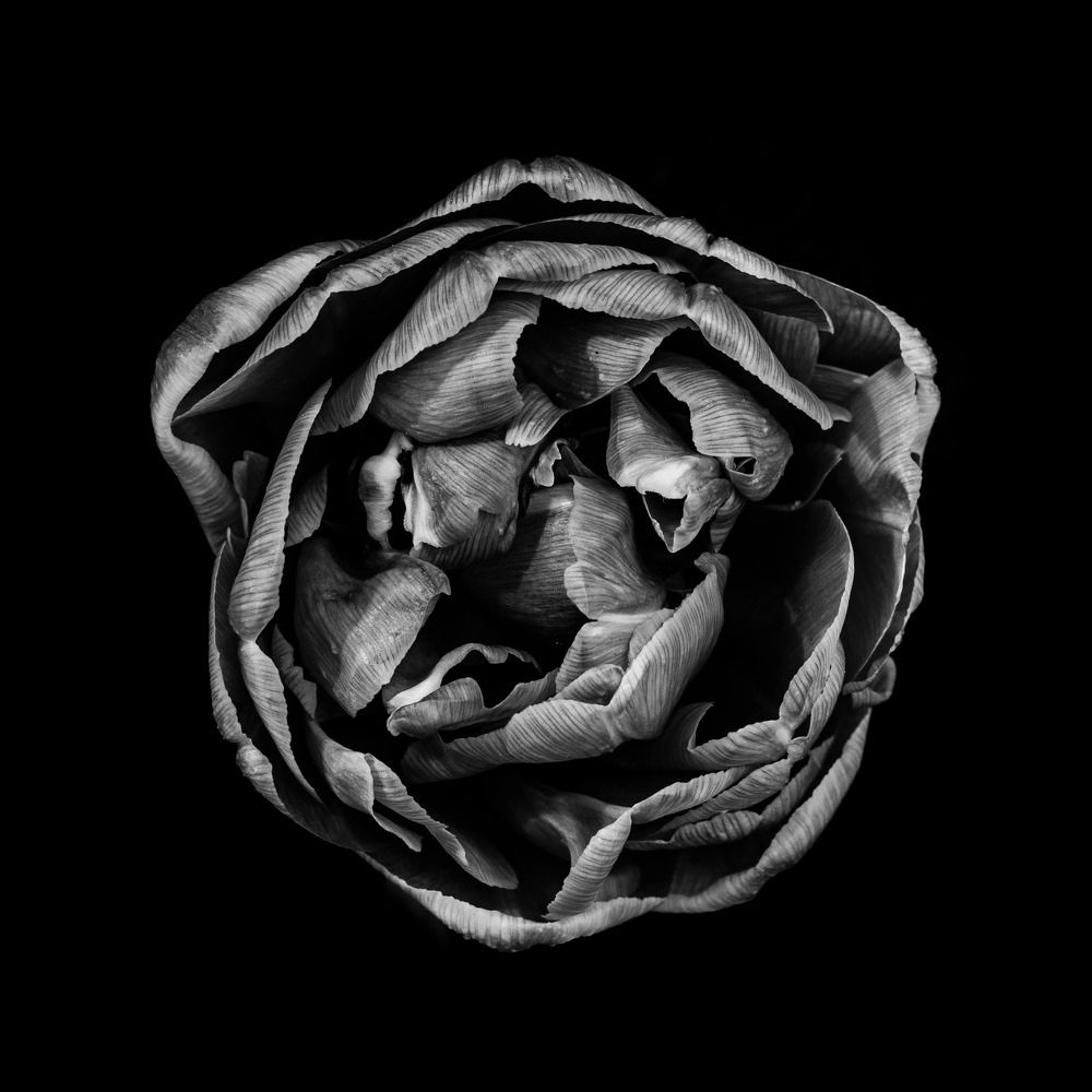 Photograph by Ксюша Черотченко