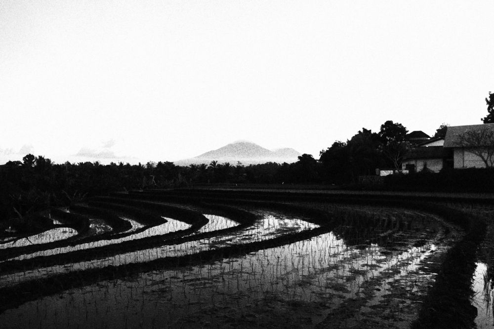 Photograph by Komang Mariono