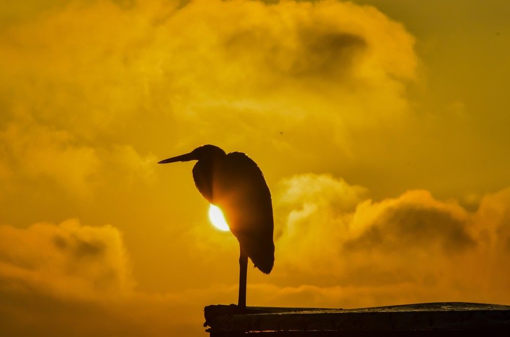 Photograph by Andre Nunes