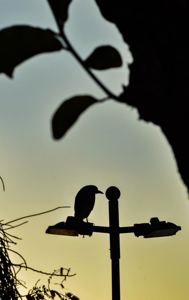 Photograph by Andre Nunes