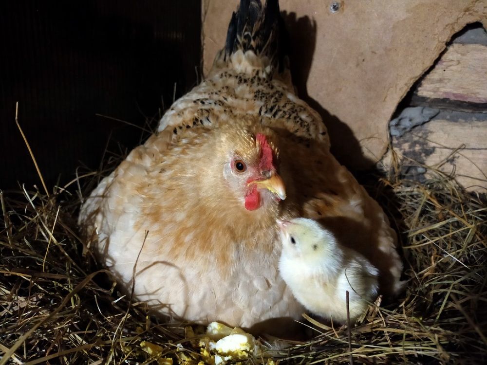 Photograph by Оксана Макарова