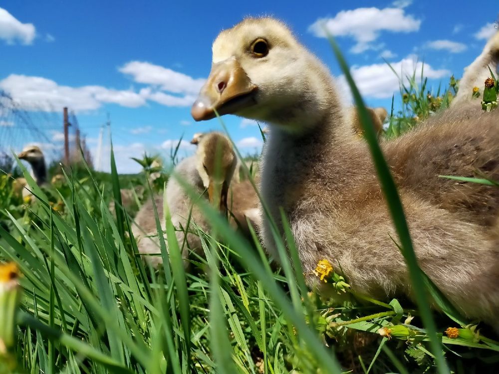 Photograph by Оксана Макарова