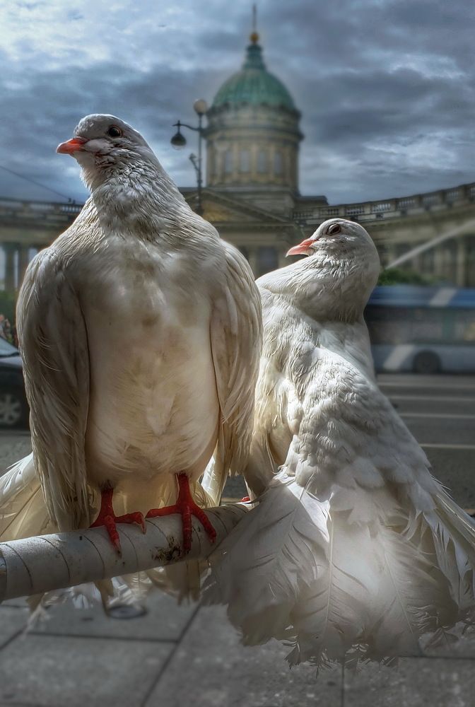 Photograph by Игорь