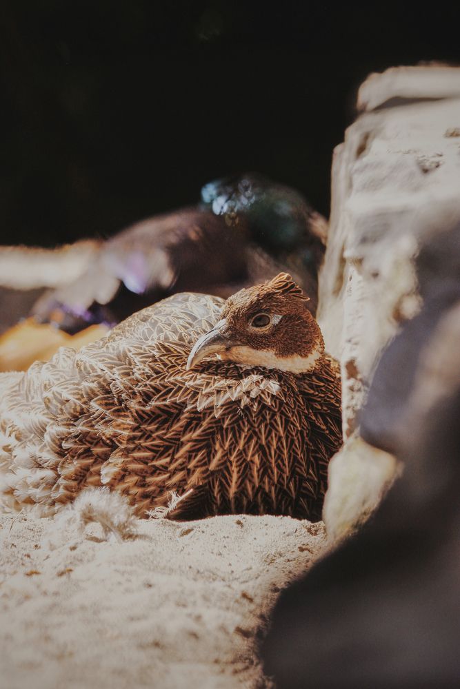 Photograph by Фистина Мария