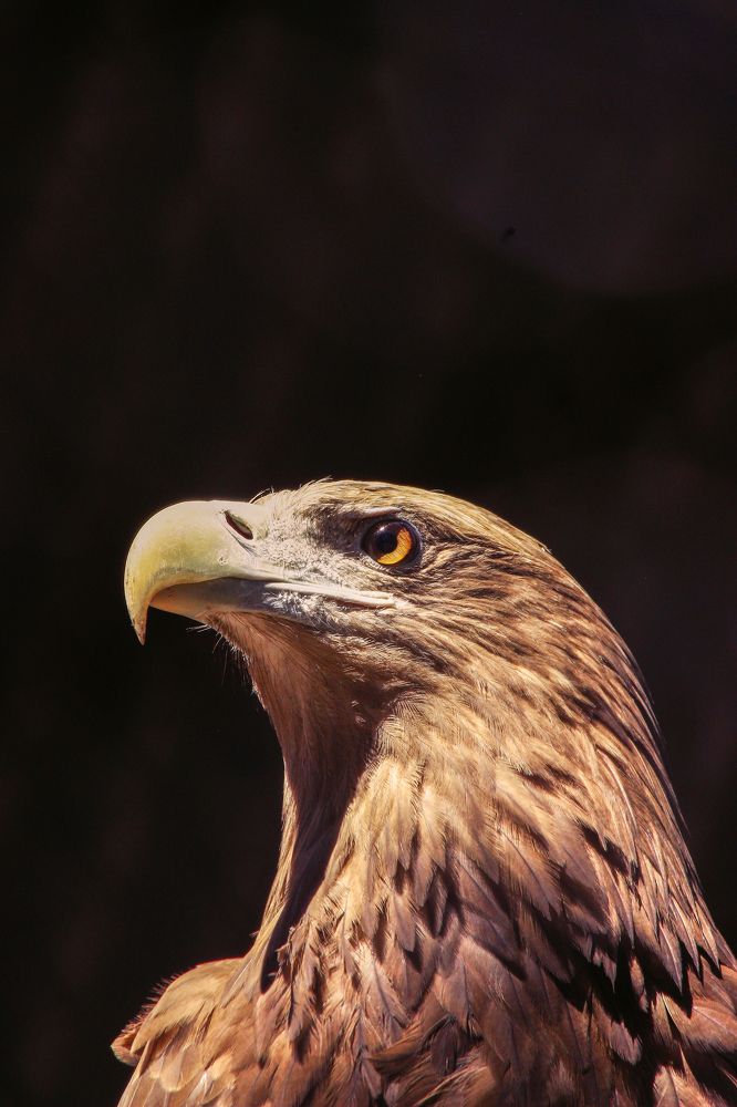 Photograph by Фистина Мария