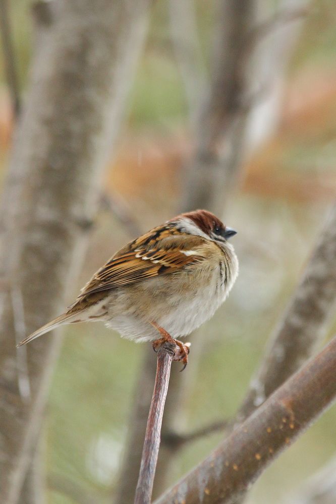 Photograph by Фистина Мария