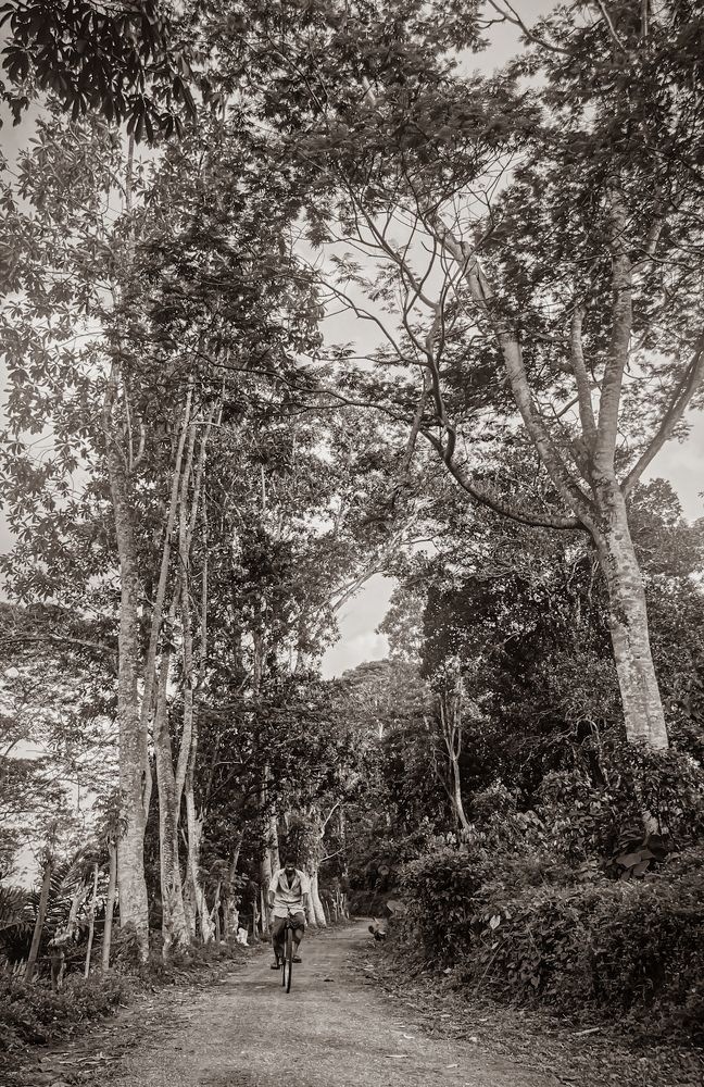 Photograph by Rashmina Mendis