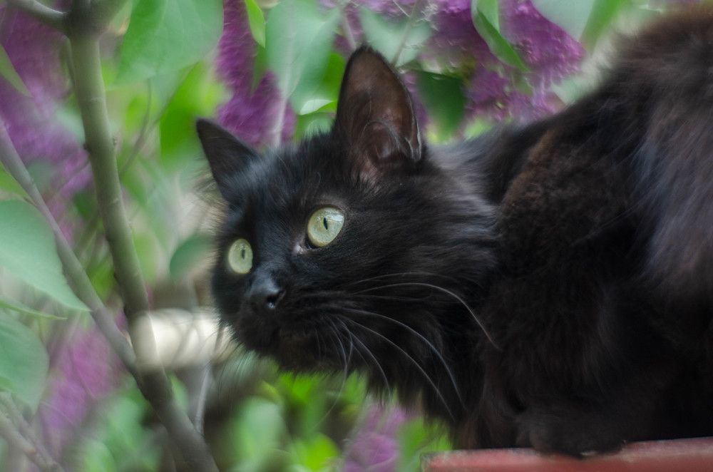 Photograph by Александр Леонов