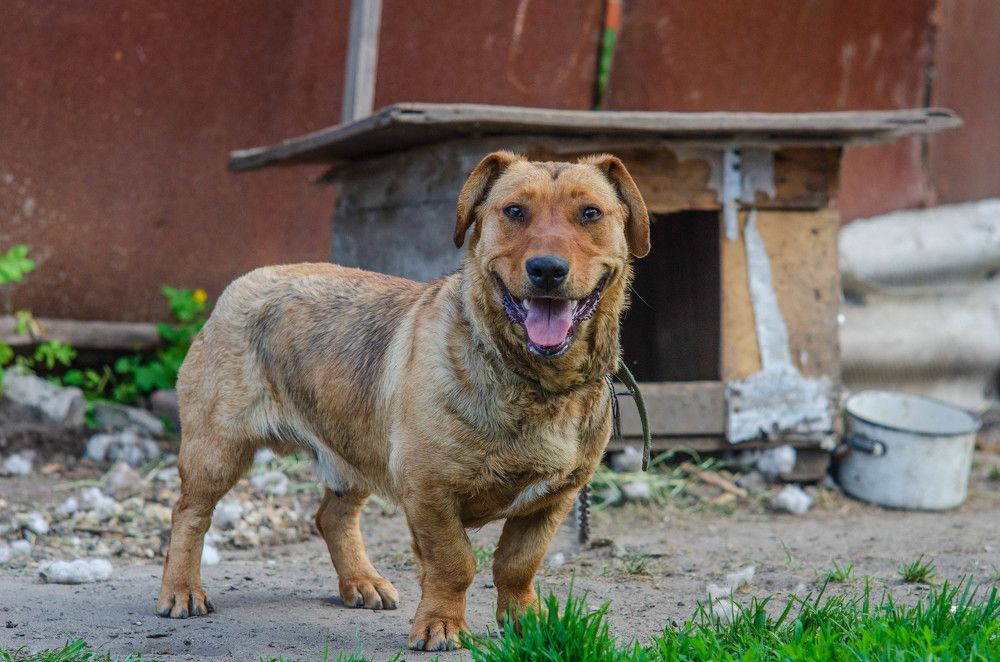 Photograph by Александр Леонов