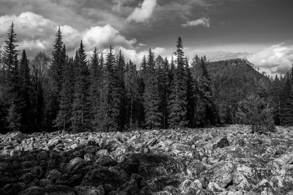 Photograph by Евгений Рослов