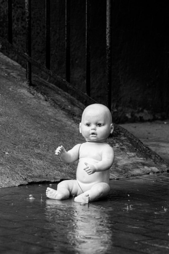 Возвращение домой