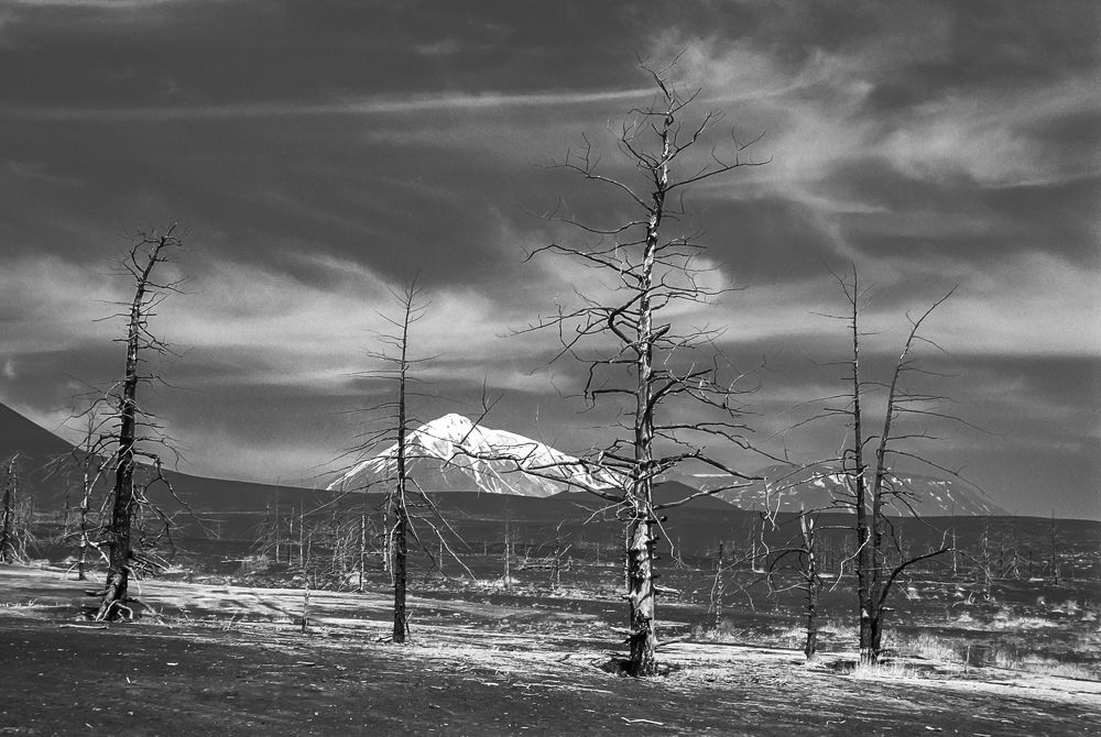 Photograph by Лазарев Алексей