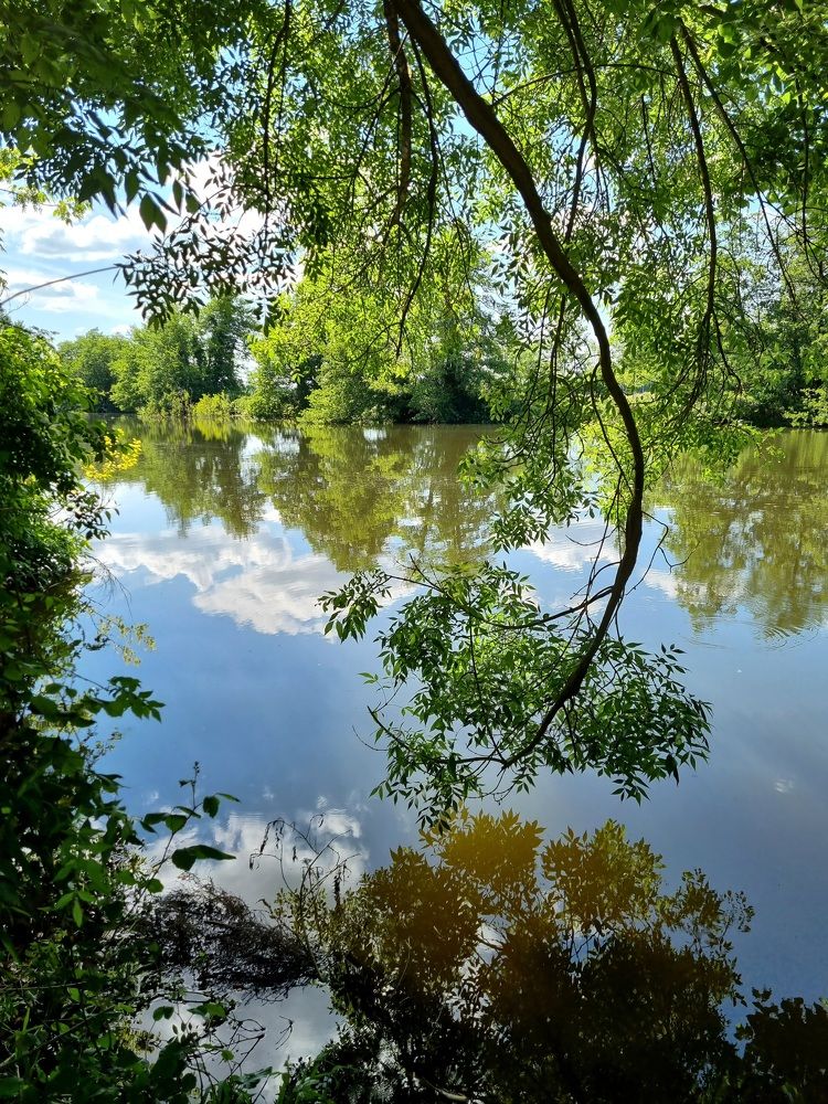 La fleuve tranquille