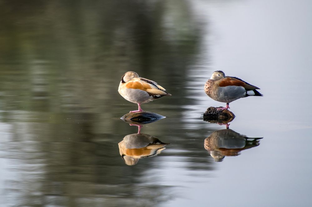 Photograph by Rino Suren