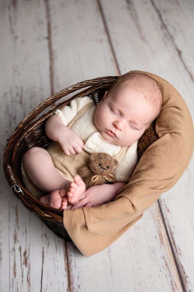 Фотография автора Светлана Климович