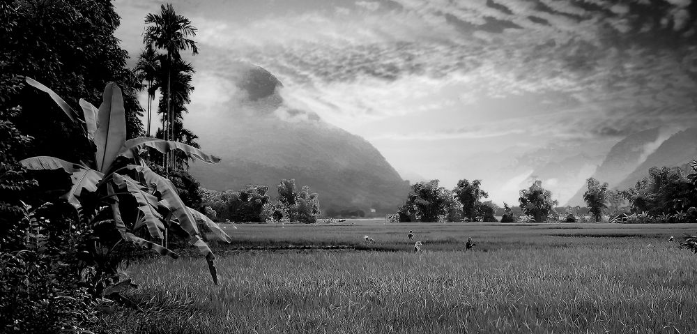 Photograph by Phuongs NguyenThanh