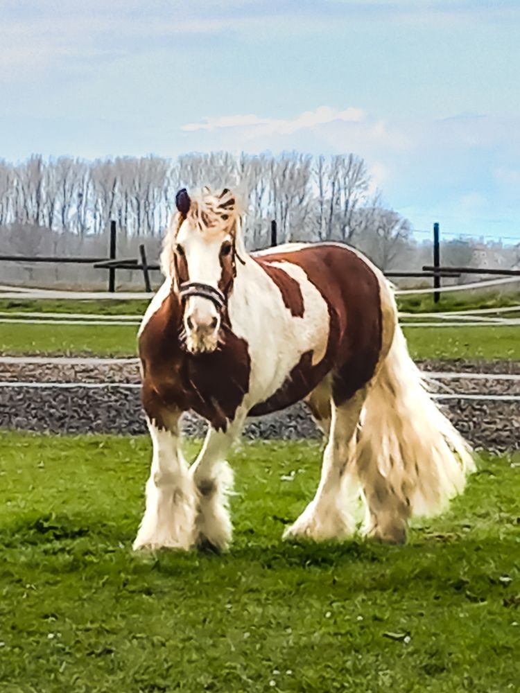 Photograph by Татьяна Сытова