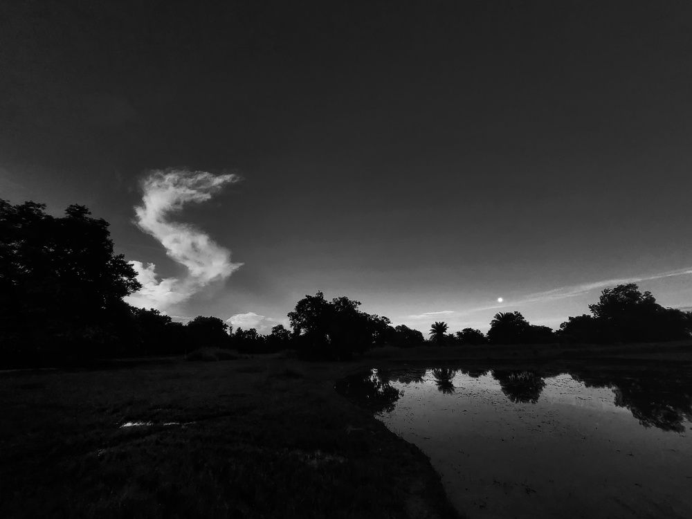 Photograph by Mainak Biswas