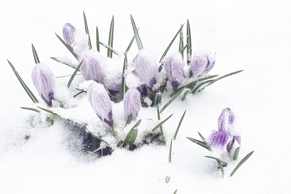 Фотография автора Alena Makushina