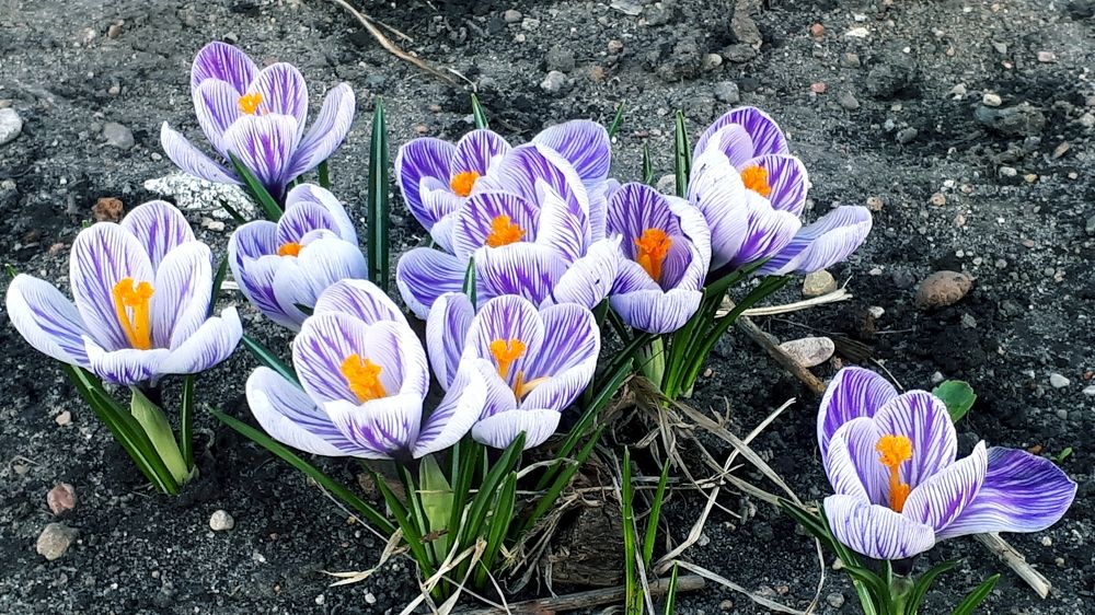 Фотография автора Alena Makushina