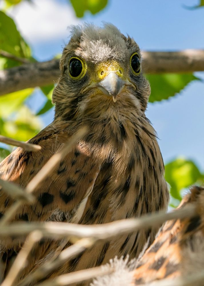 Photograph by Валерий Федяров
