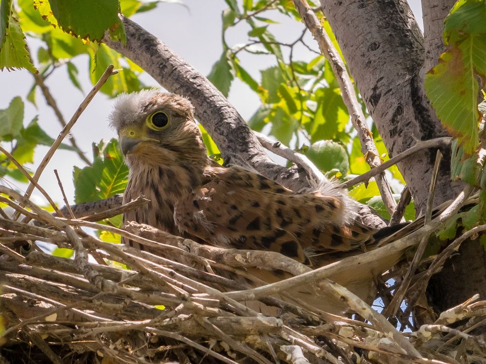 Photograph by Валерий Федяров