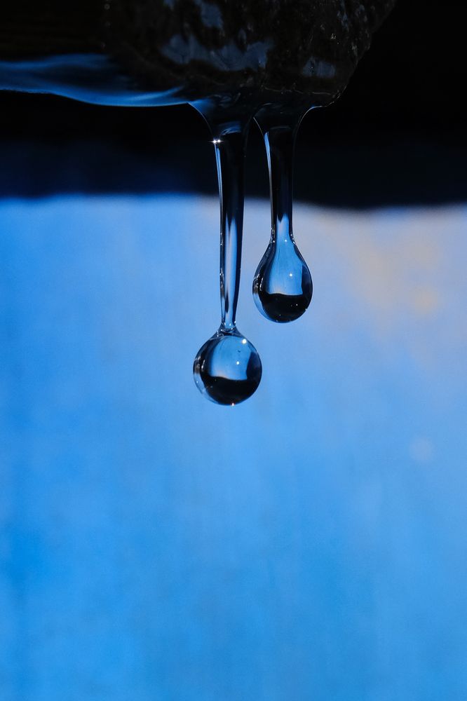 Фотография автора Александр Высоцкий