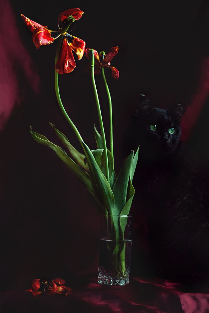 Photograph by Елена Леонидовна