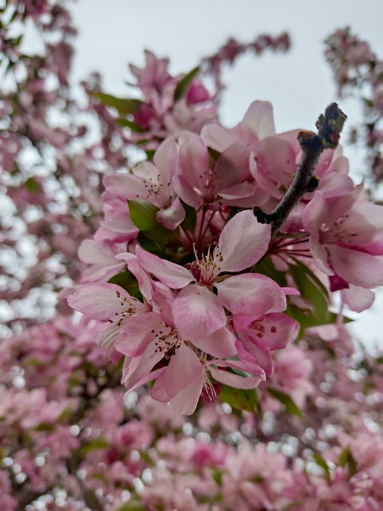 Photograph by Андрей Головин