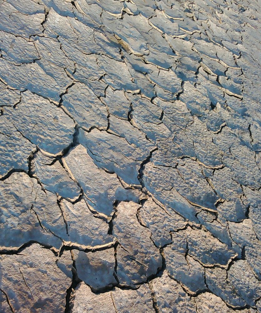 Photograph by bhardwaj vipin