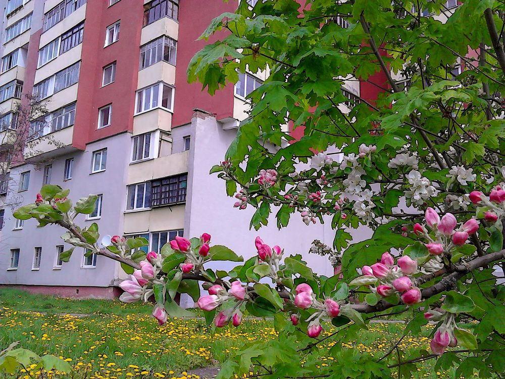 Фотография автора Valiantsina Sivakova