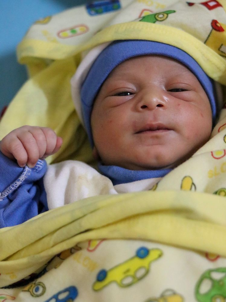 Фотография автора Adel elqamhawi Mohamed