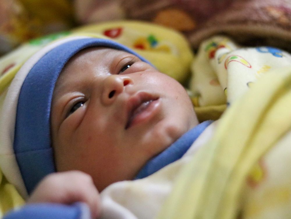 Фотография автора Adel elqamhawi Mohamed